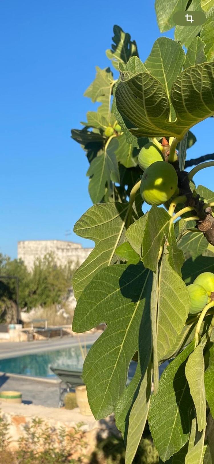 Masseria Serafino Ostuni Luaran gambar